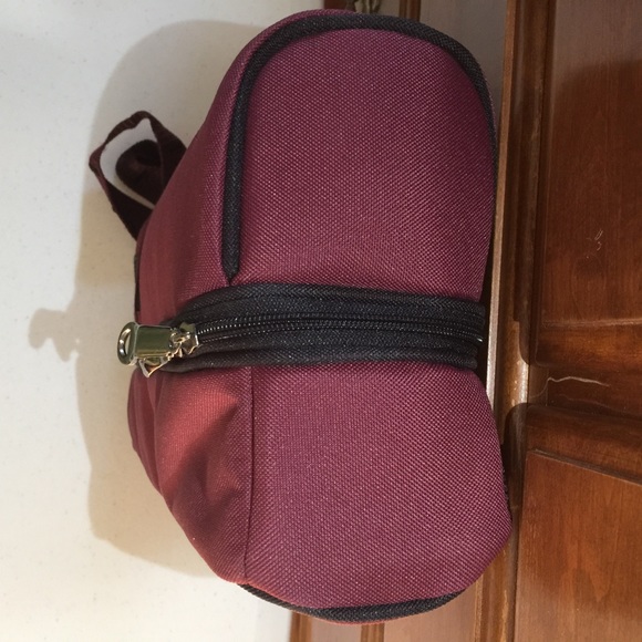 ▫️Picnic Time Insulated Wine/Picnic Tote - Picture 9 of 16